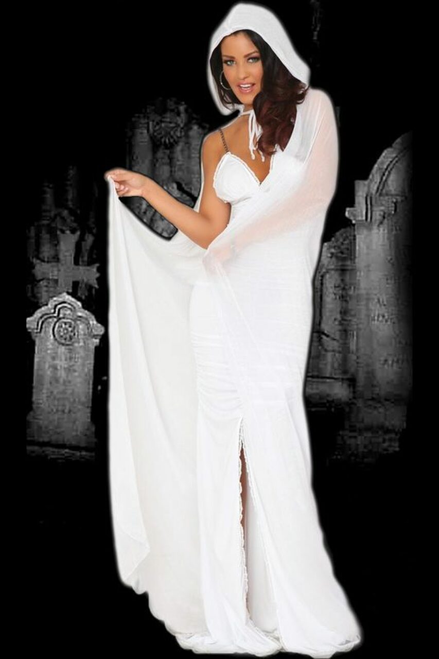 Sexy Halloween Spirit Ghost Costume